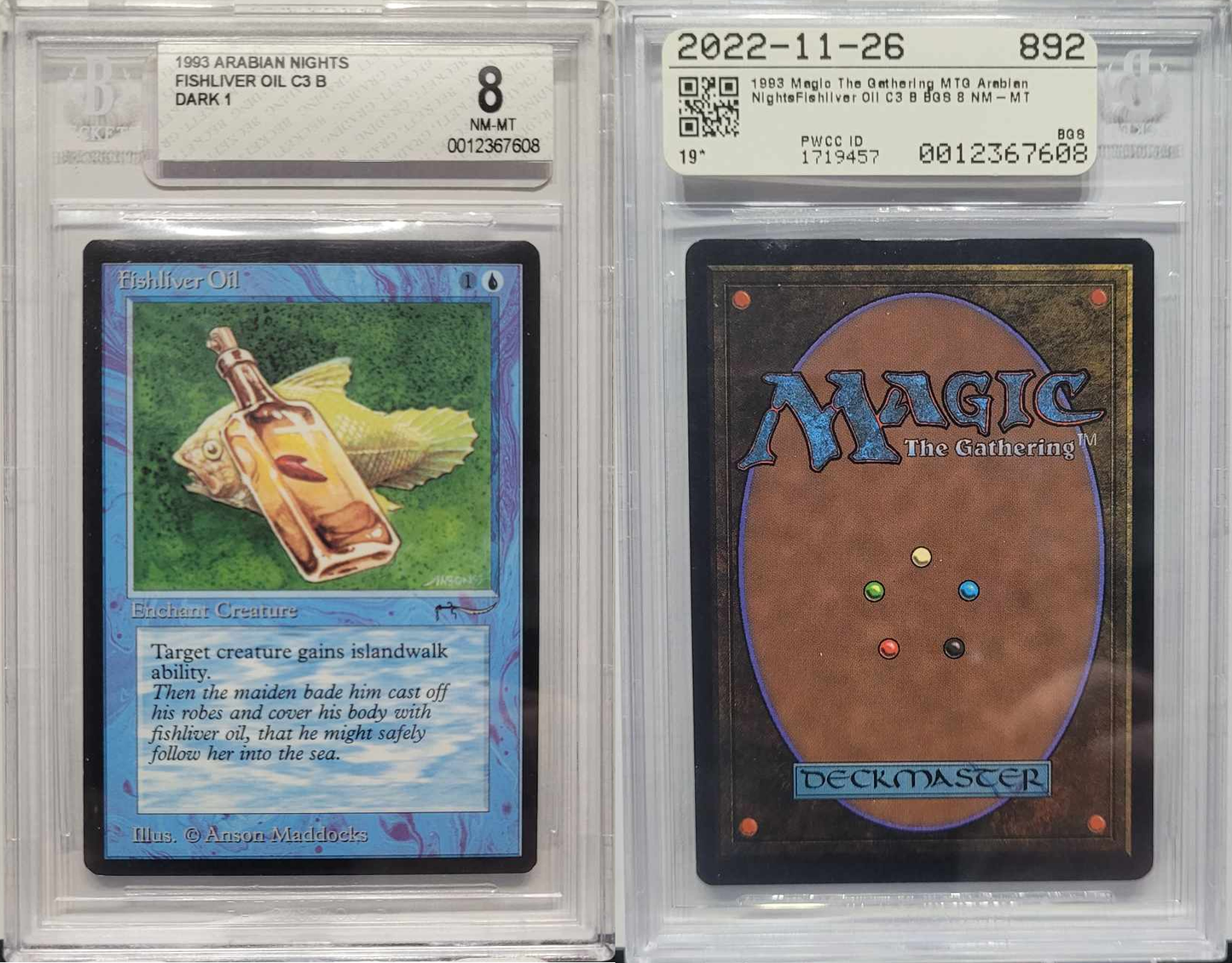 GRADED: 1993 Magic The Gathering Fishliver Oil Arabian Nights (ARN) BGS 8 NM Graded C3B Dark
